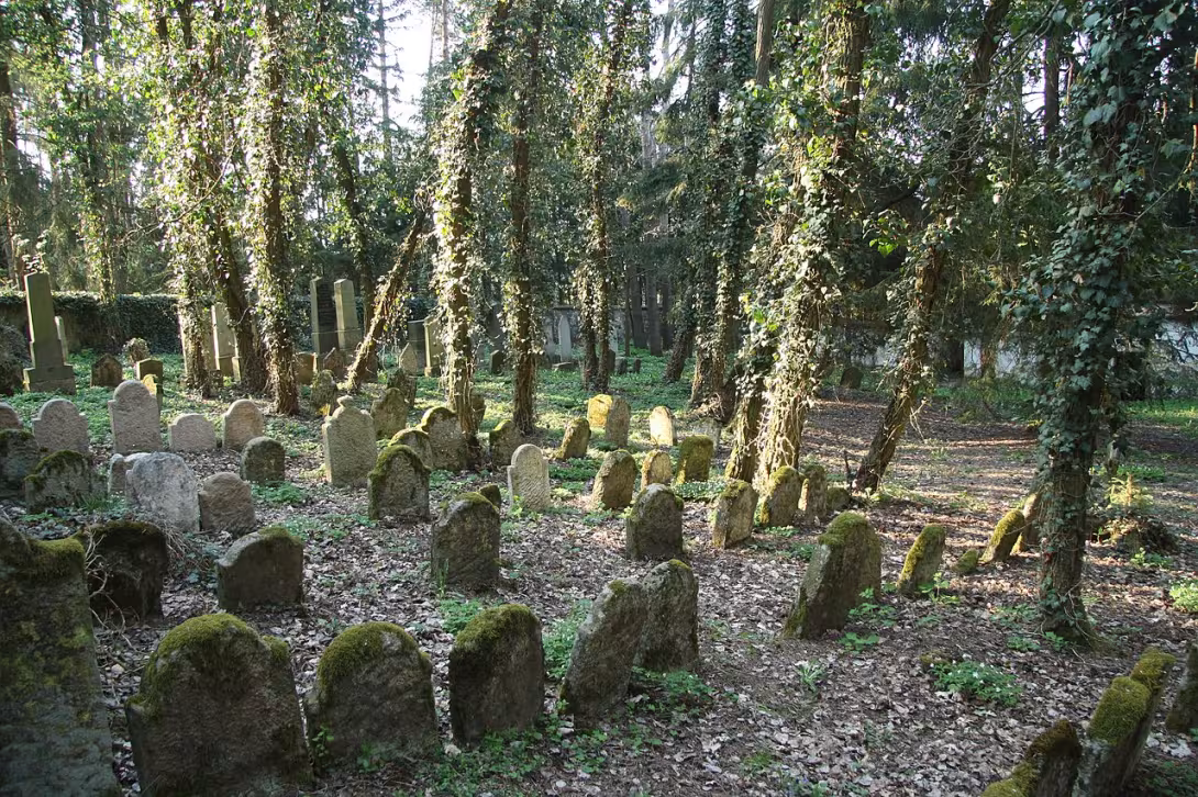 Dnešní pohled – Židovský hřbitov v Písečném