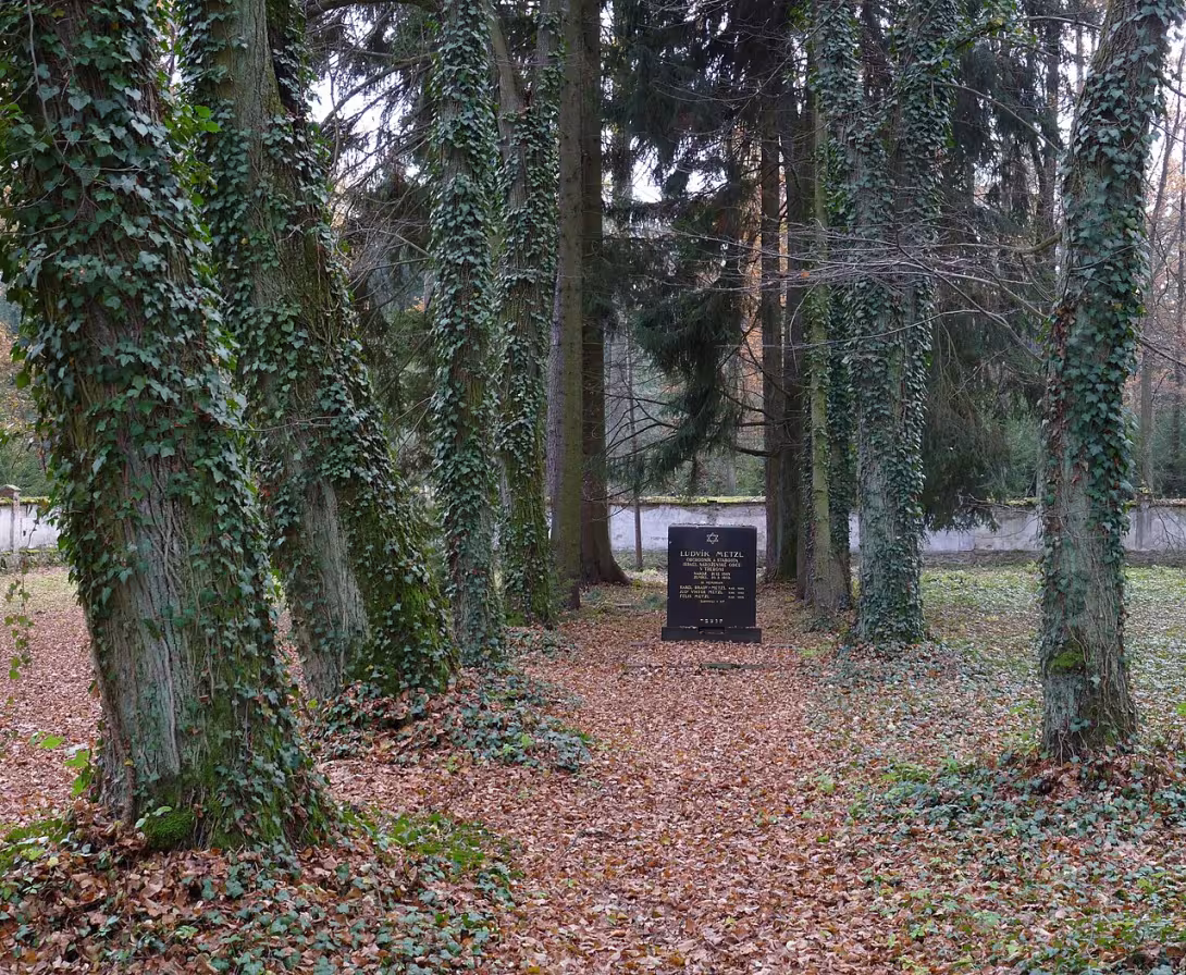Today's view – Židovský hřbitov v Třeboni