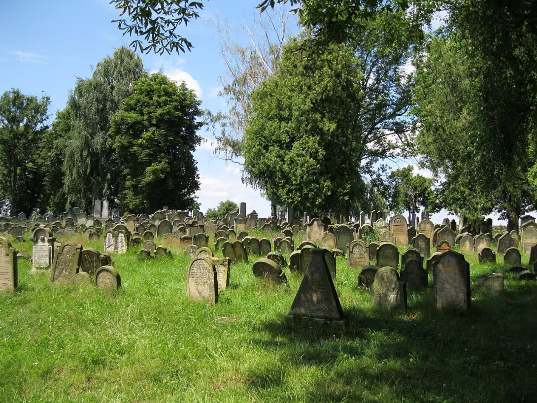 Today's view – Židovský hřbitov v Úsově