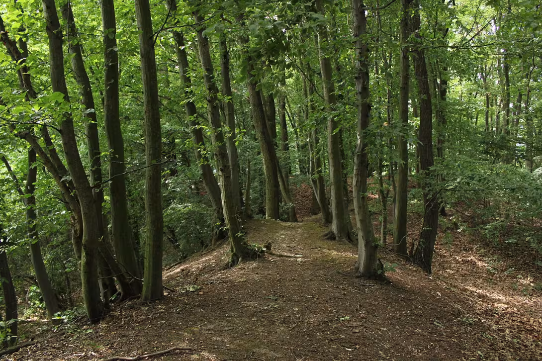 Dnešní pohled – Žáravice