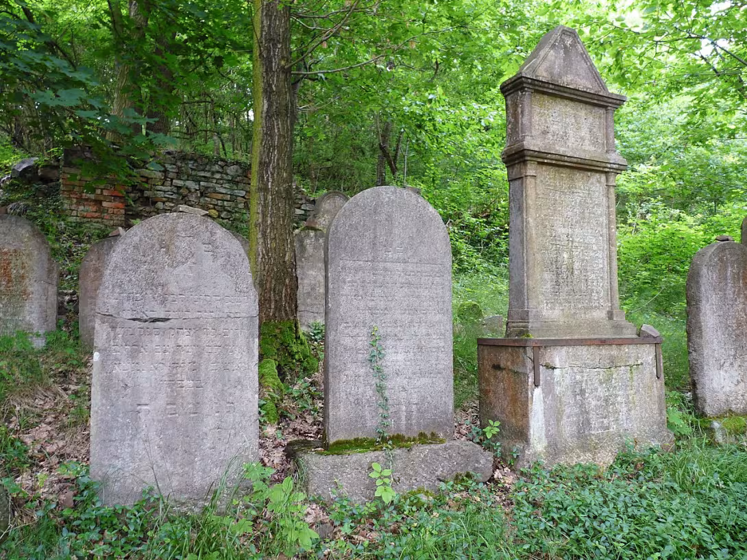 Today's view – židovský hřbitov v Hostomicích