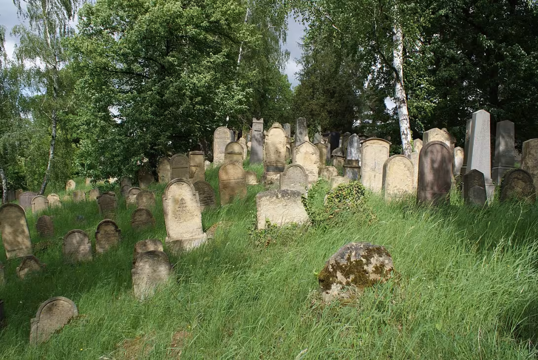 Today's view – židovský hřbitov v Mladé Boleslavi