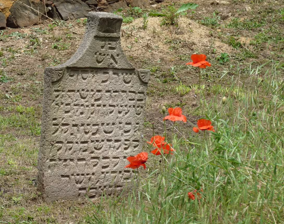 Dnešní pohled – židovský hřbitov v Rakovníku