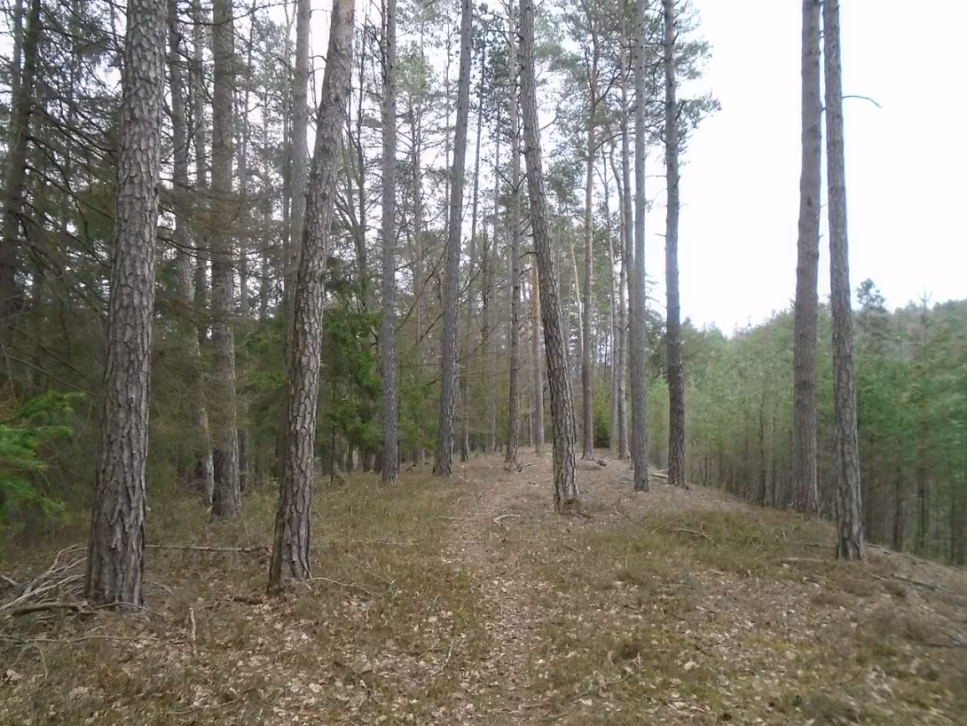 Dnešní pohled – Sellnerovo hradiště