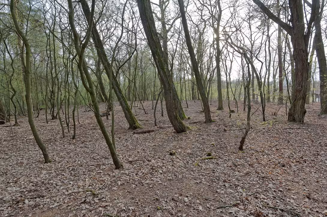 Dnešní pohled – Slavětice