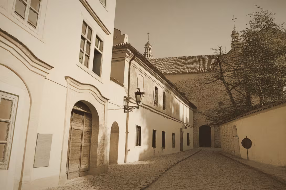 Historická podoba – Anežská