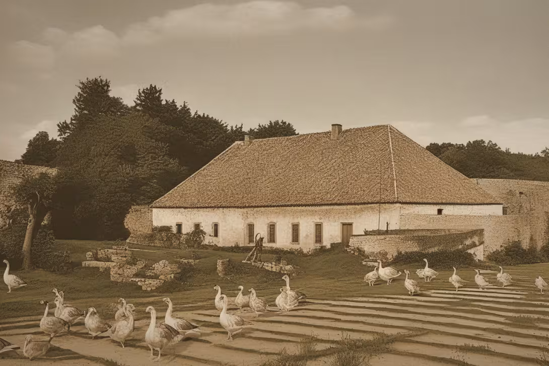 Historická podoba – Bílence