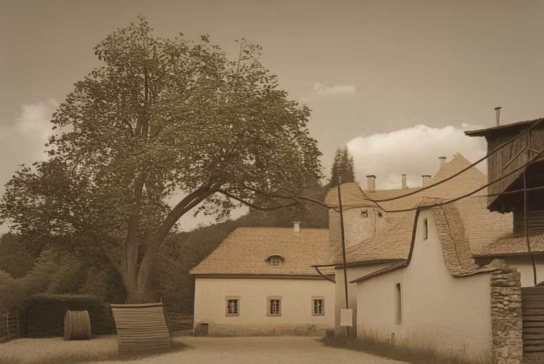 Historická podoba – Klášterní mlýn v Plasích