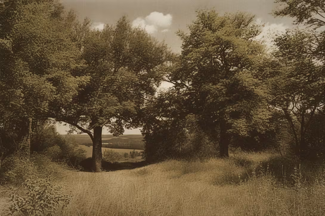 Historical appearance – Komberk
