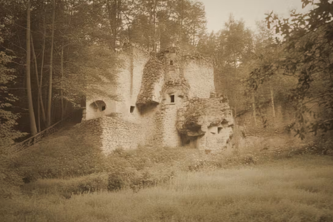 Historická podoba – Pařez