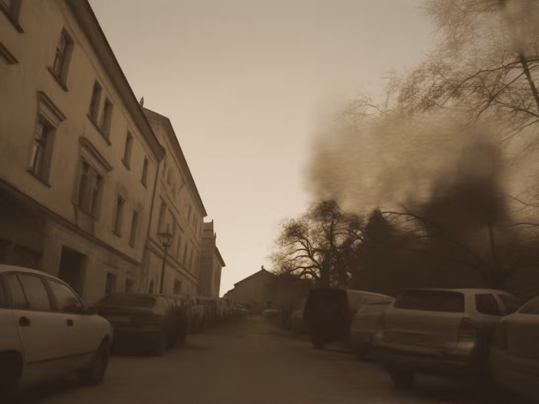 Historická podoba – Stará synagoga v Plzni