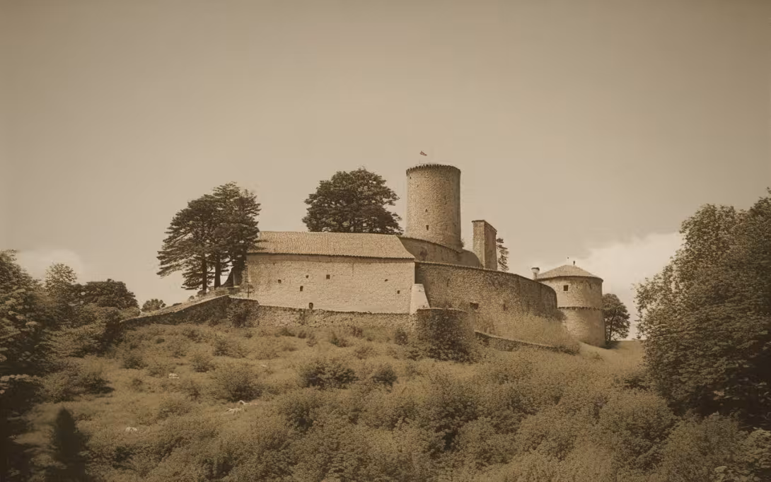 Historická podoba – Svojanov