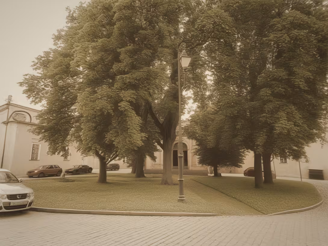 Wygląd historyczny – Synagoga v Lomnici