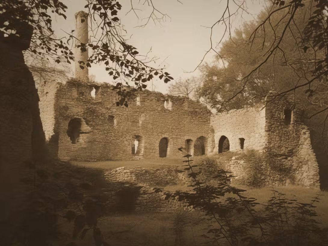 Historical appearance – vodní tvrz Milotička
