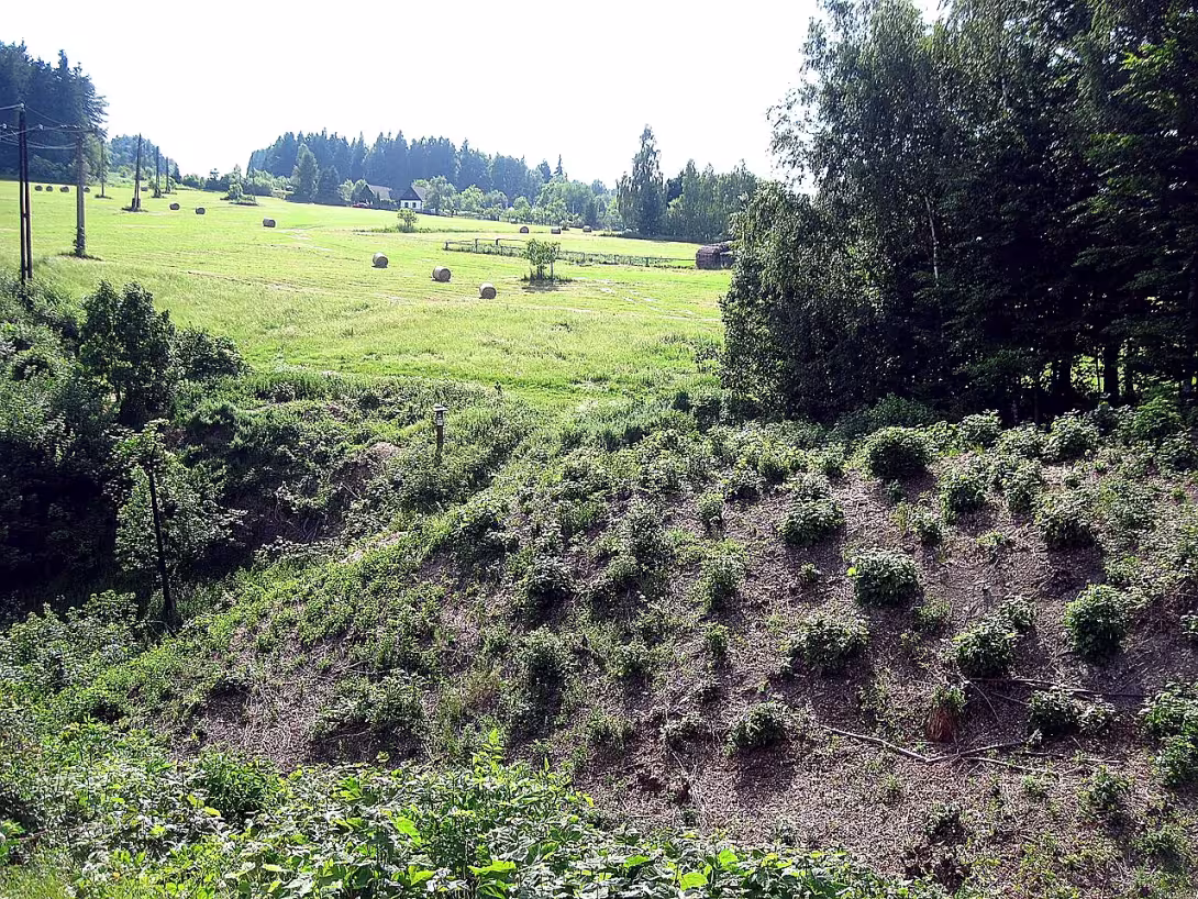 Boršov