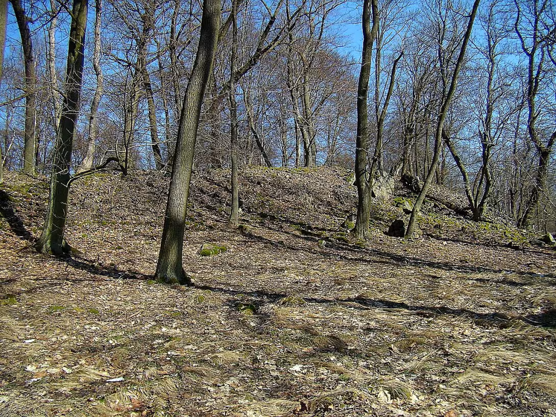 Březina