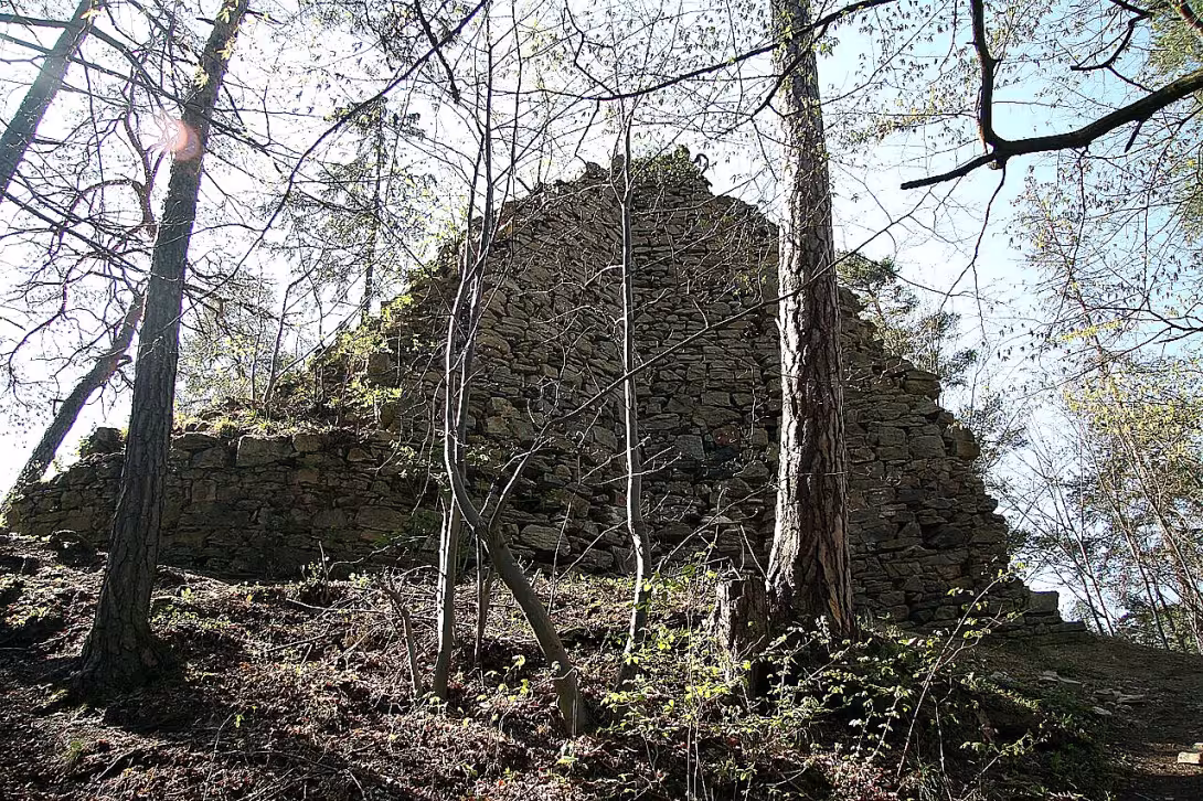 Holoubek