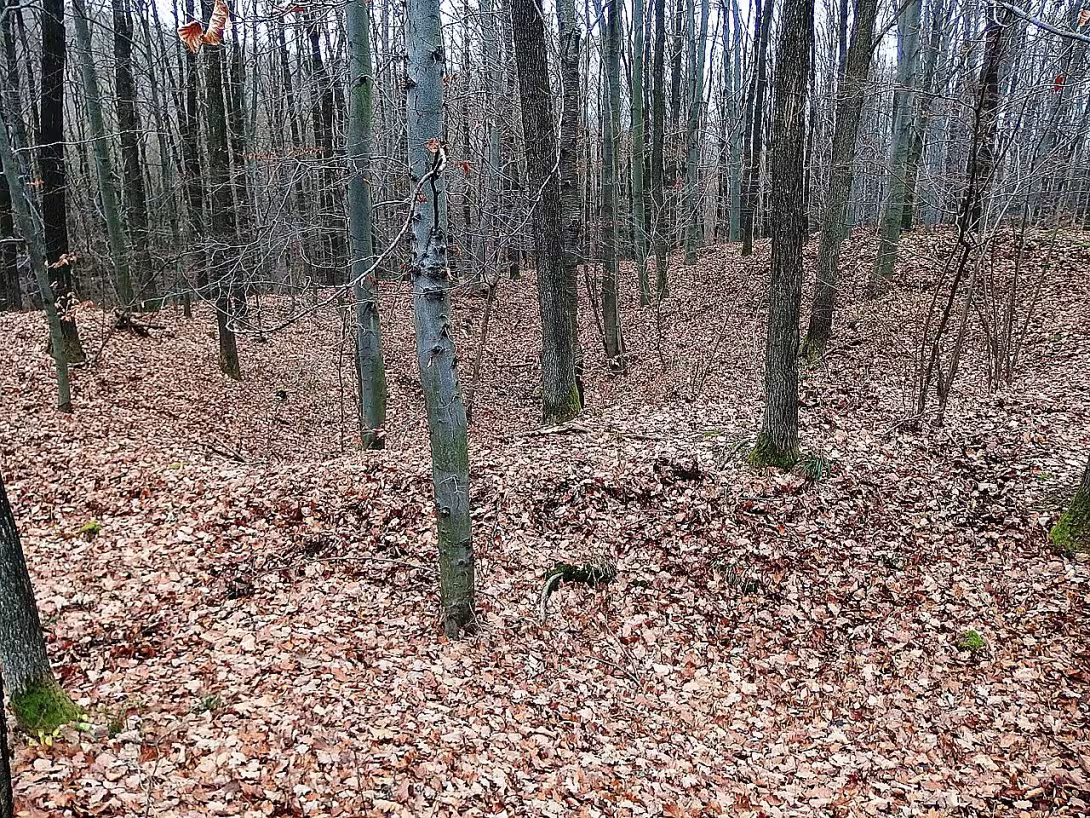 Hrad Zlín