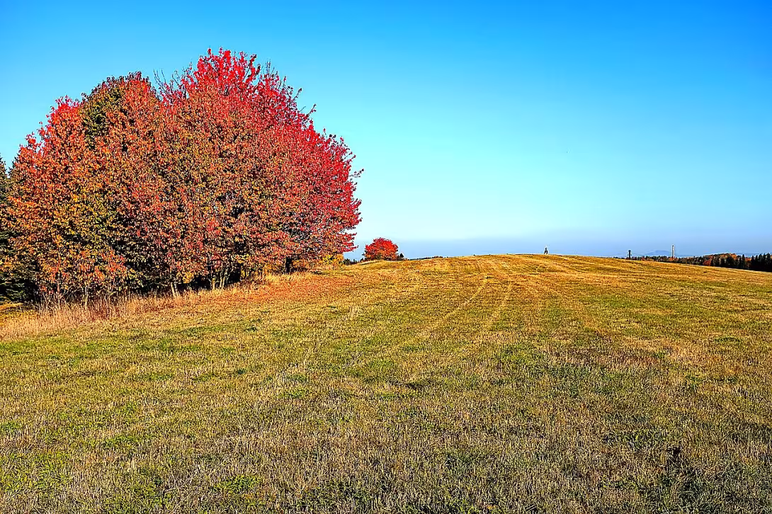 Hradiště (Sedlec)