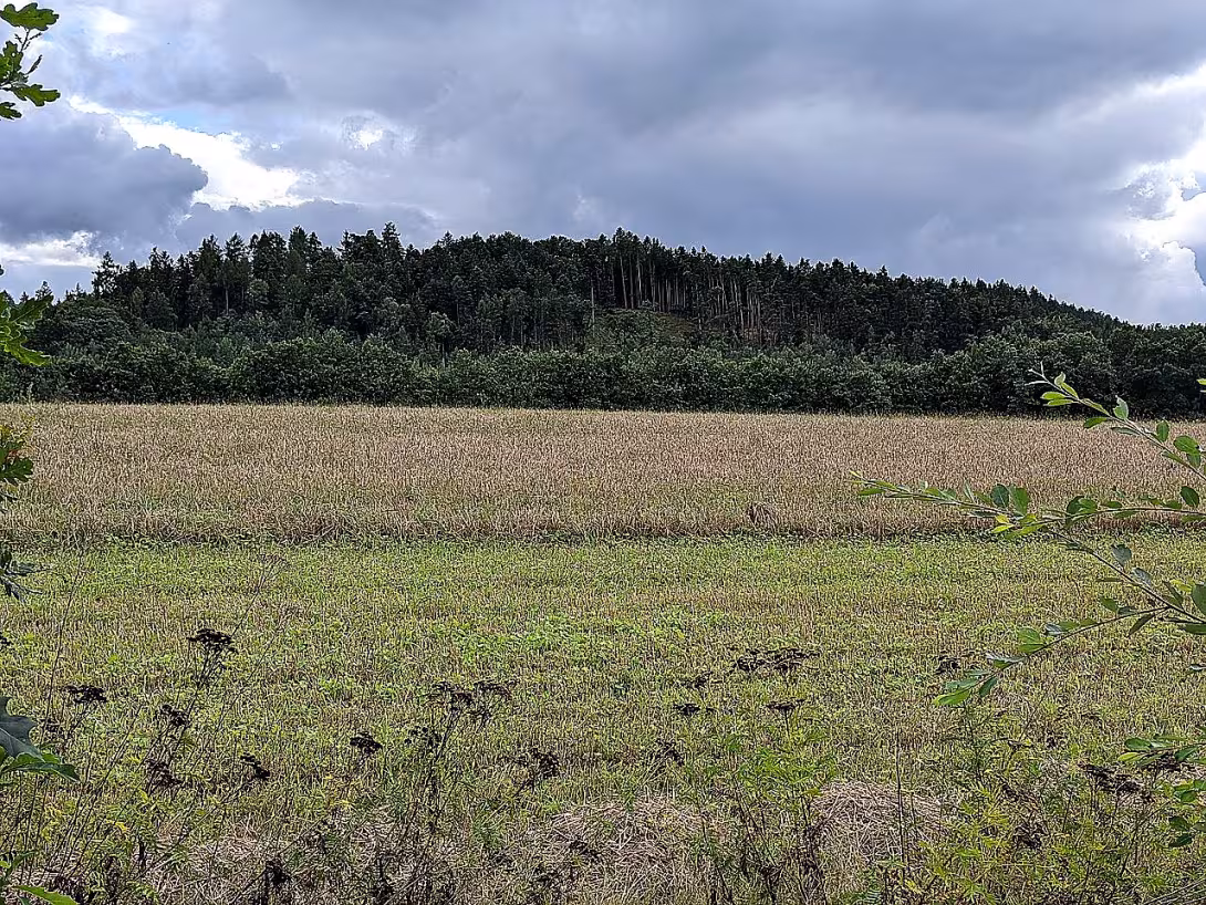 Hradiště U Svaté Anny