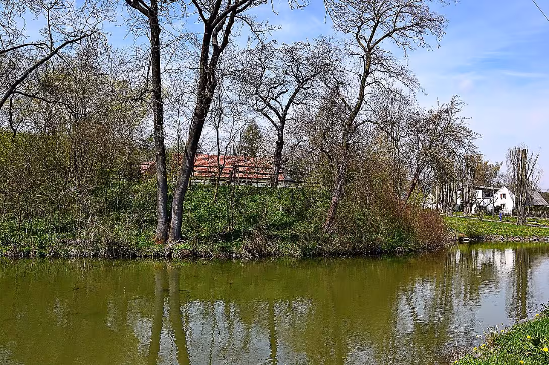 Jeřeň