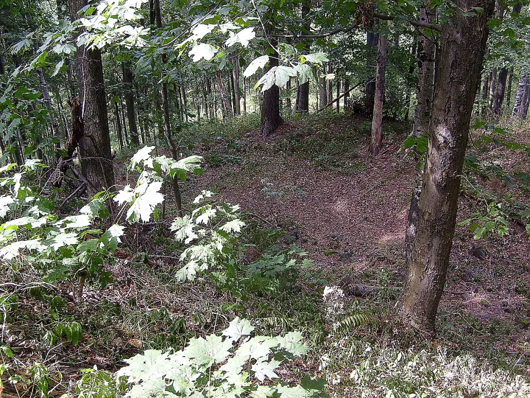 Kozlov (hrad, okres Semily)