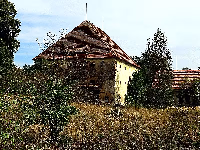 Křenice