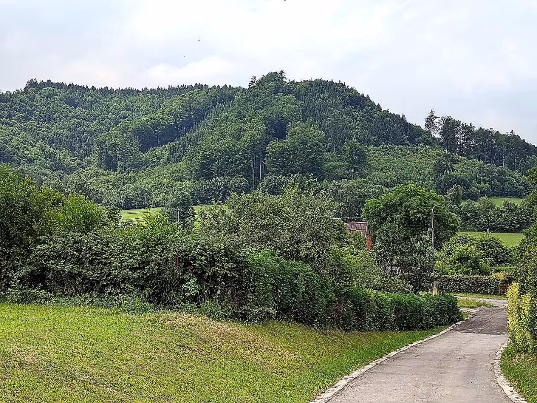 Mladějov