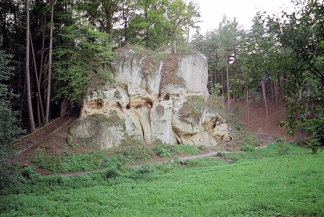 Pařez