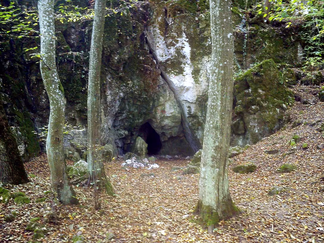 Pekárna