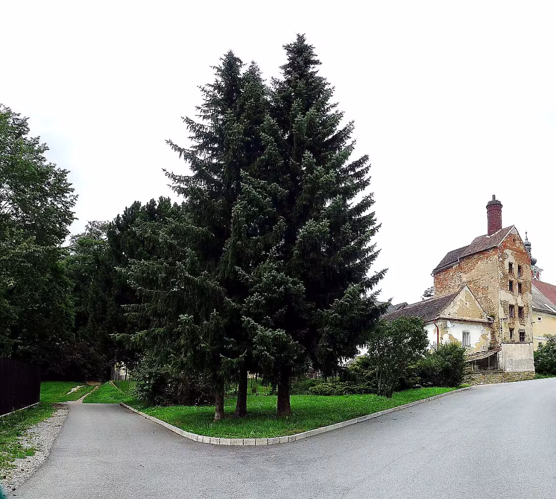 Pivovar (Pacov)