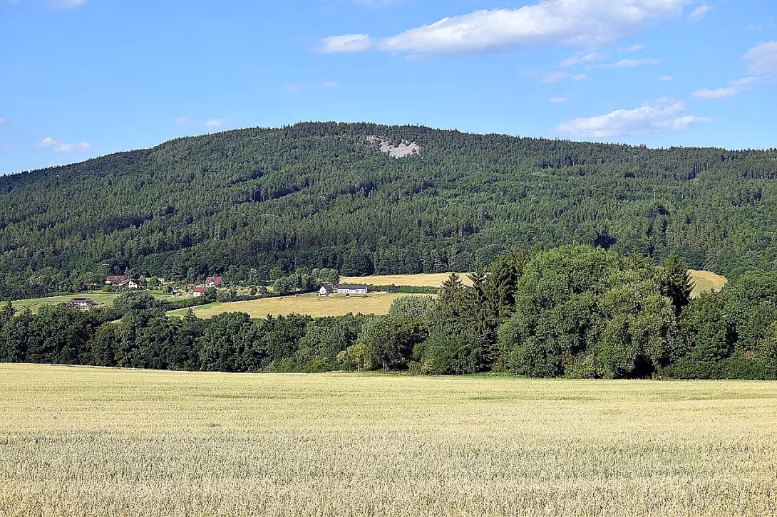 Plešivec