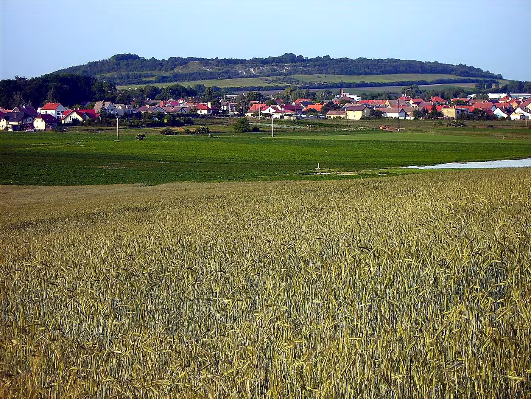 Přerovská hůra