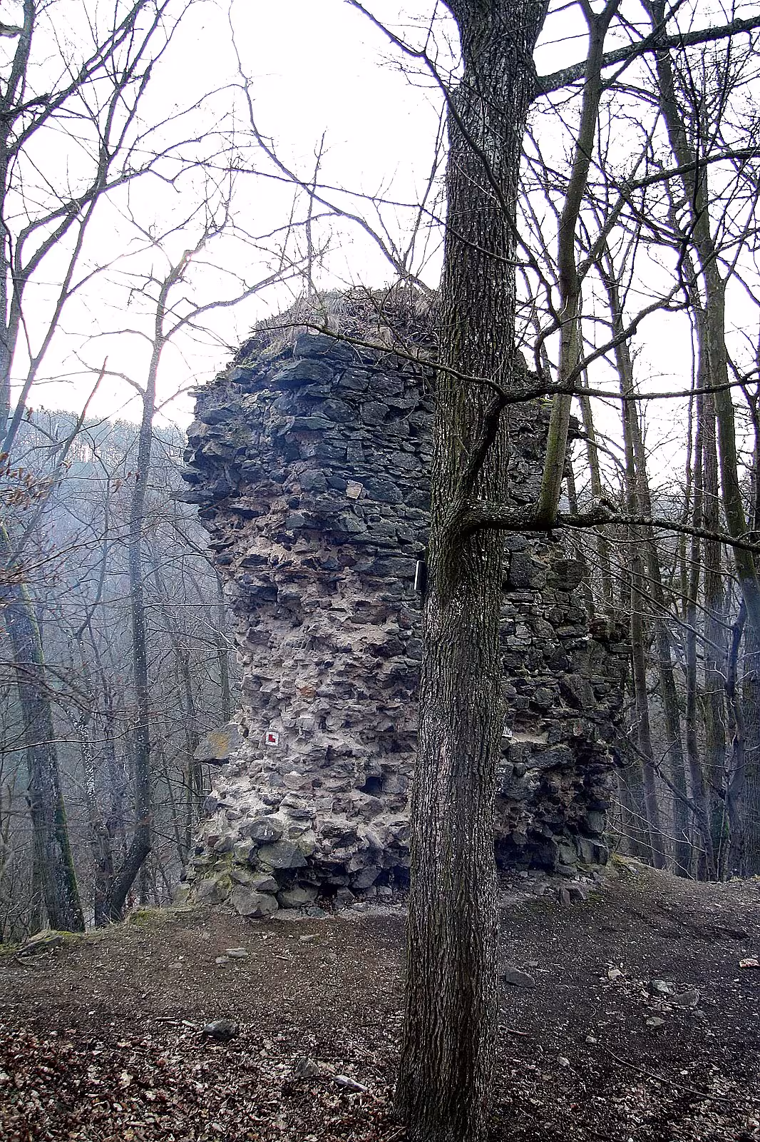 Rabštejn (hrad, okres Třebíč)