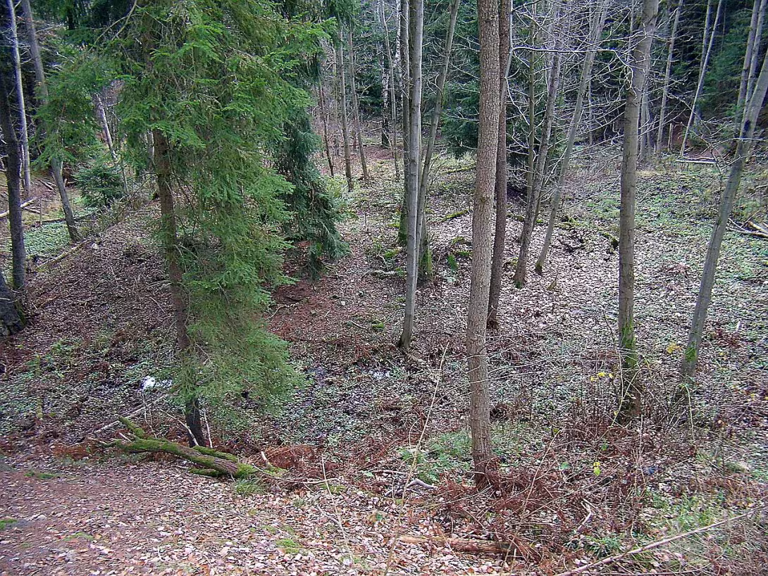 Rovný