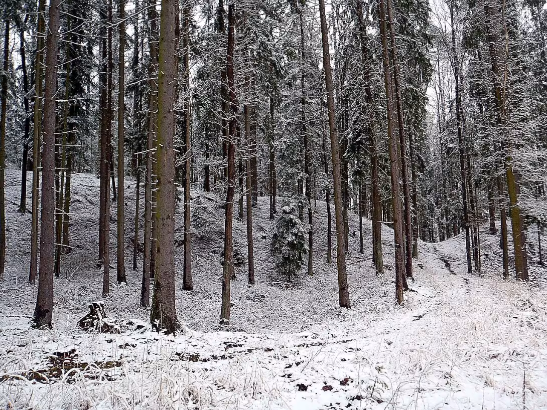 Svákov