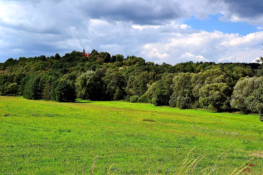 Tasnovice (hradiště)