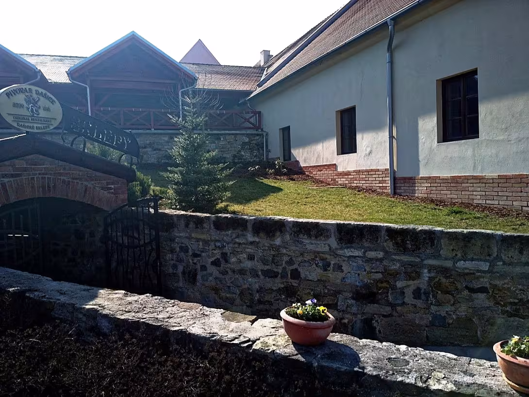 Vodní mlýn (Dašice)