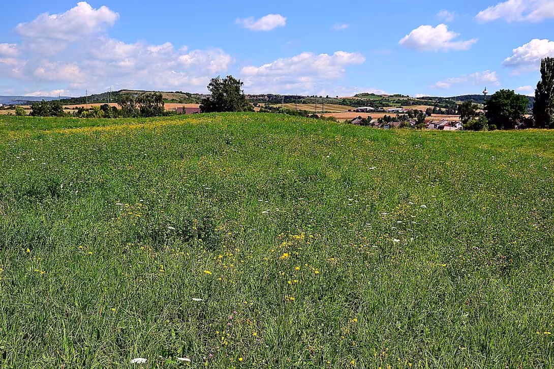 Zabrušany