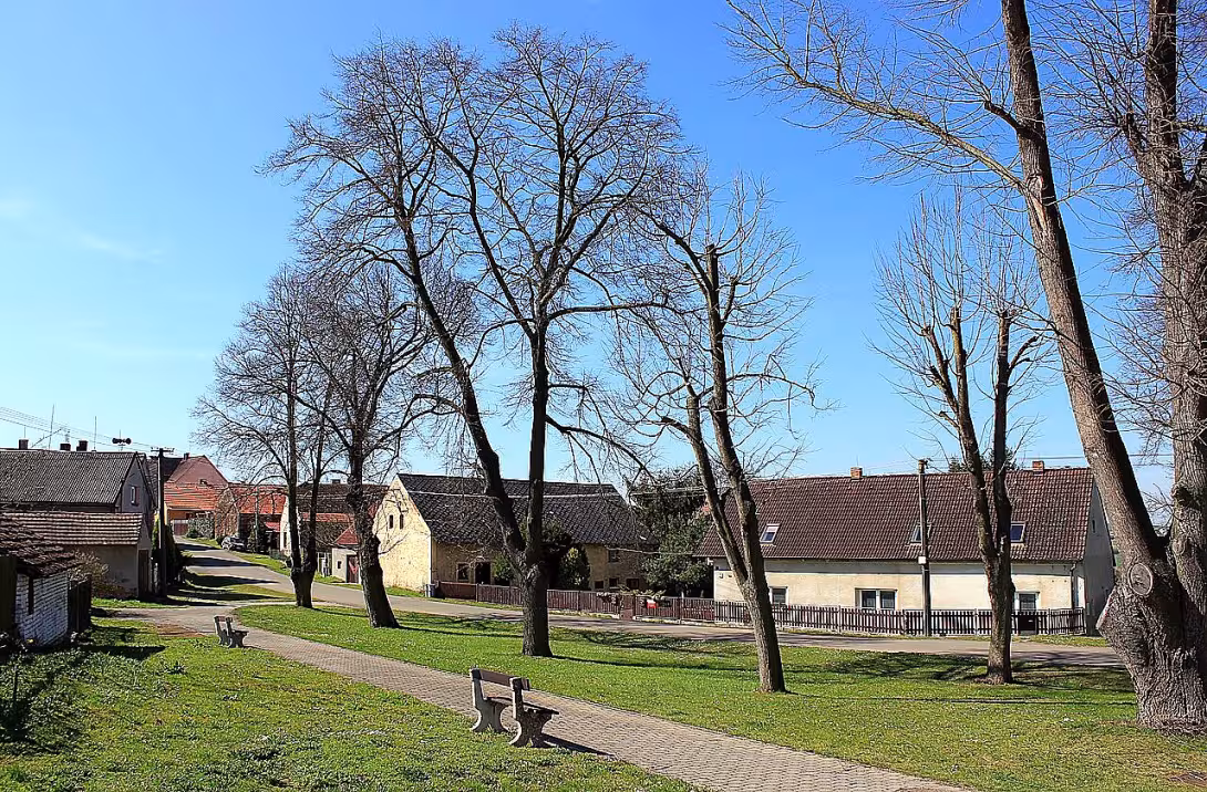 Střapole