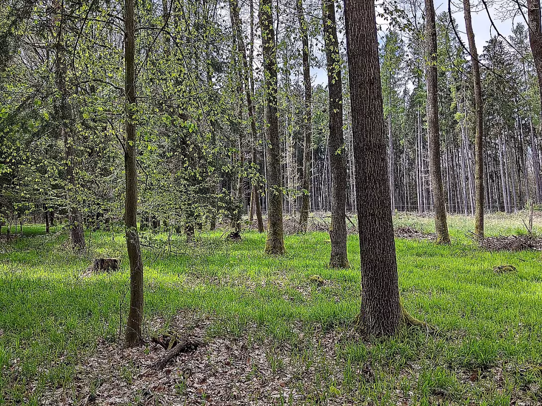 Mohylník (Luhačovice)