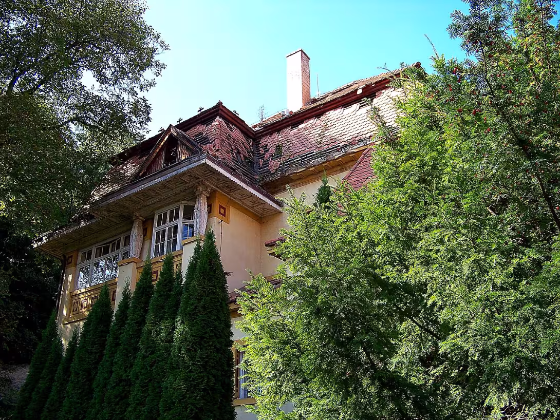 Storchova vila