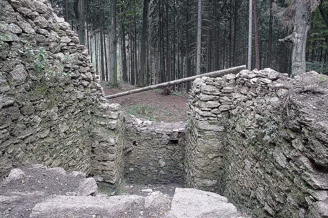 Skály (hrad, okres Žďár nad Sázavou)