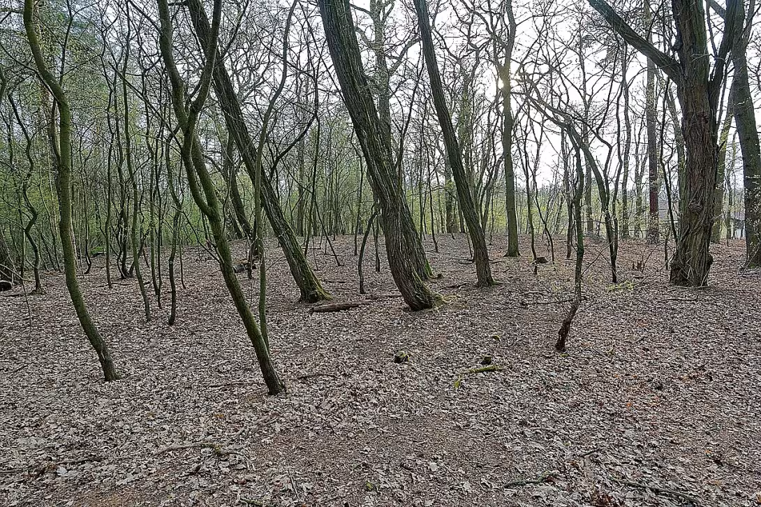 Slavětice