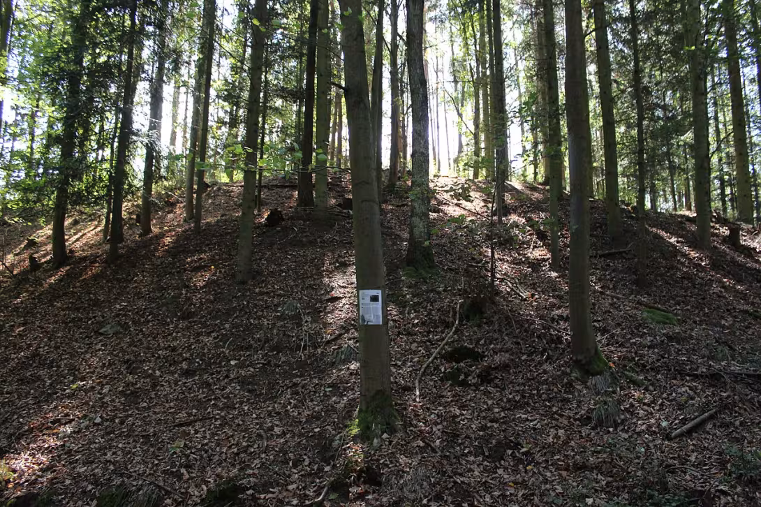 Dnešní pohled – Žíkovec