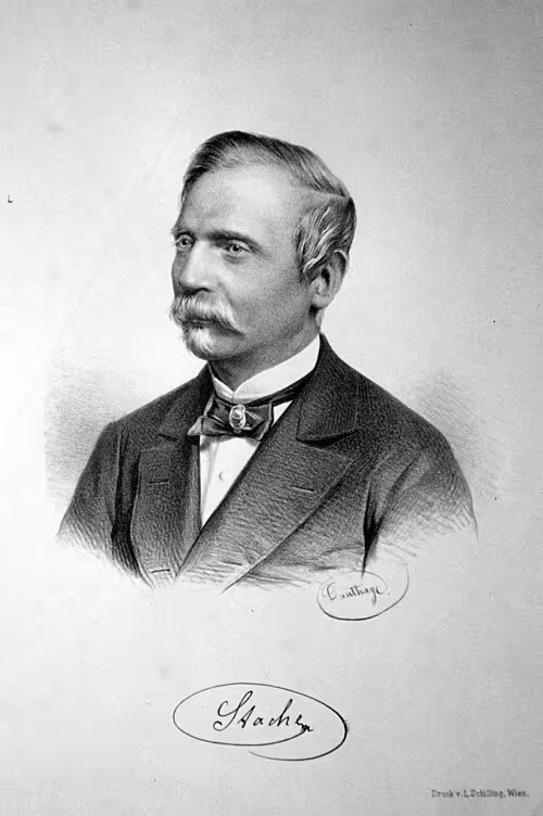 Friedrich Stache