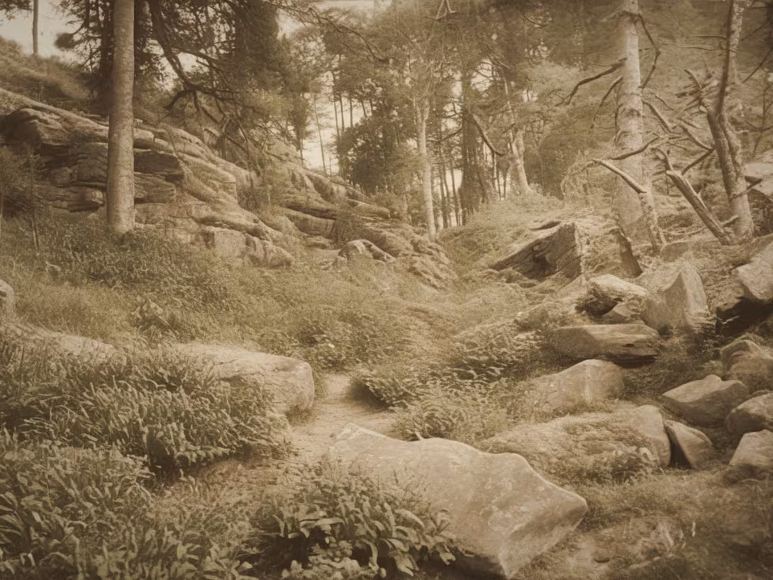 Historická podoba – Obří hrad