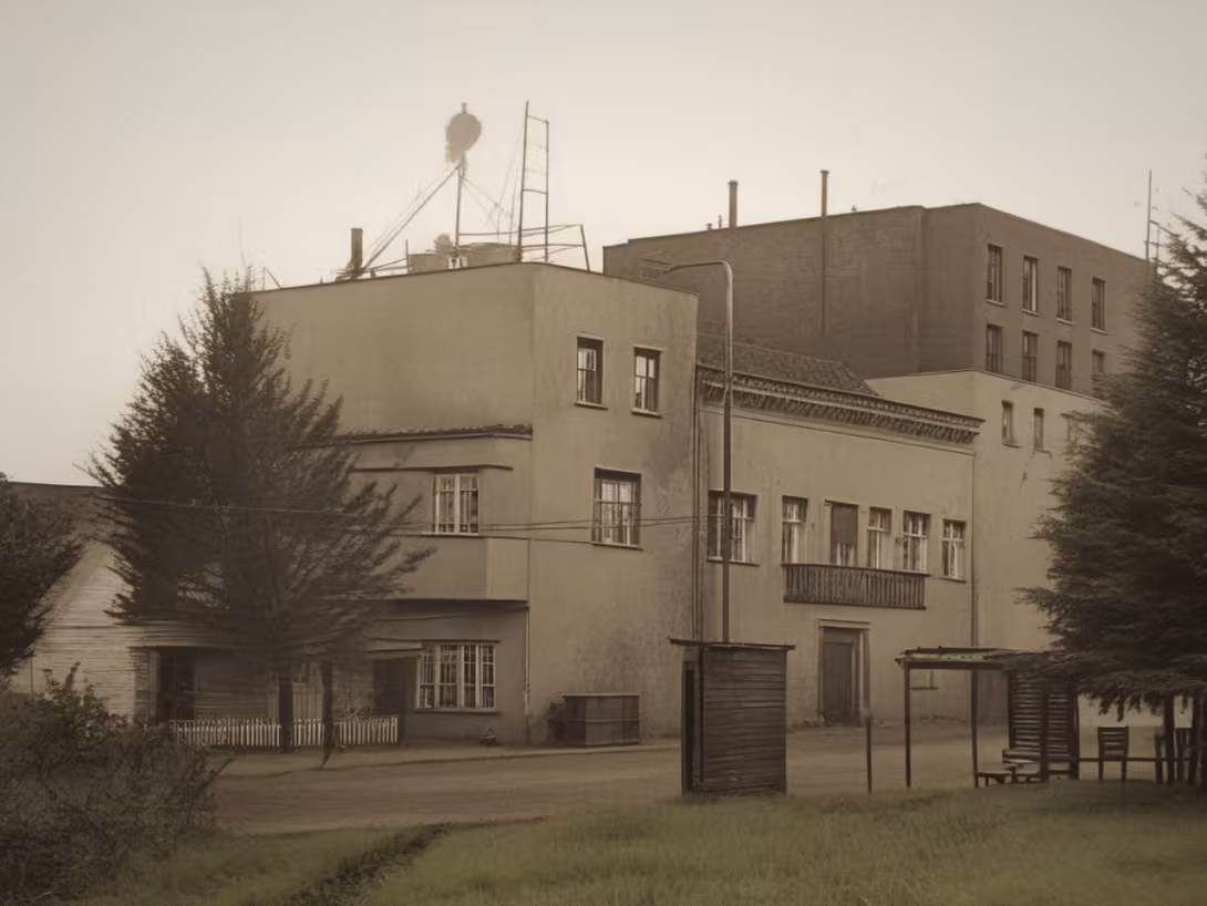 Historická podoba – dům Jany a Jana Brummelových
