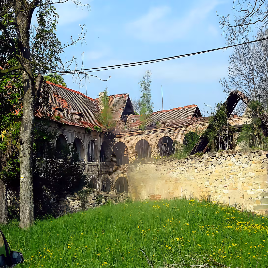 Boreč