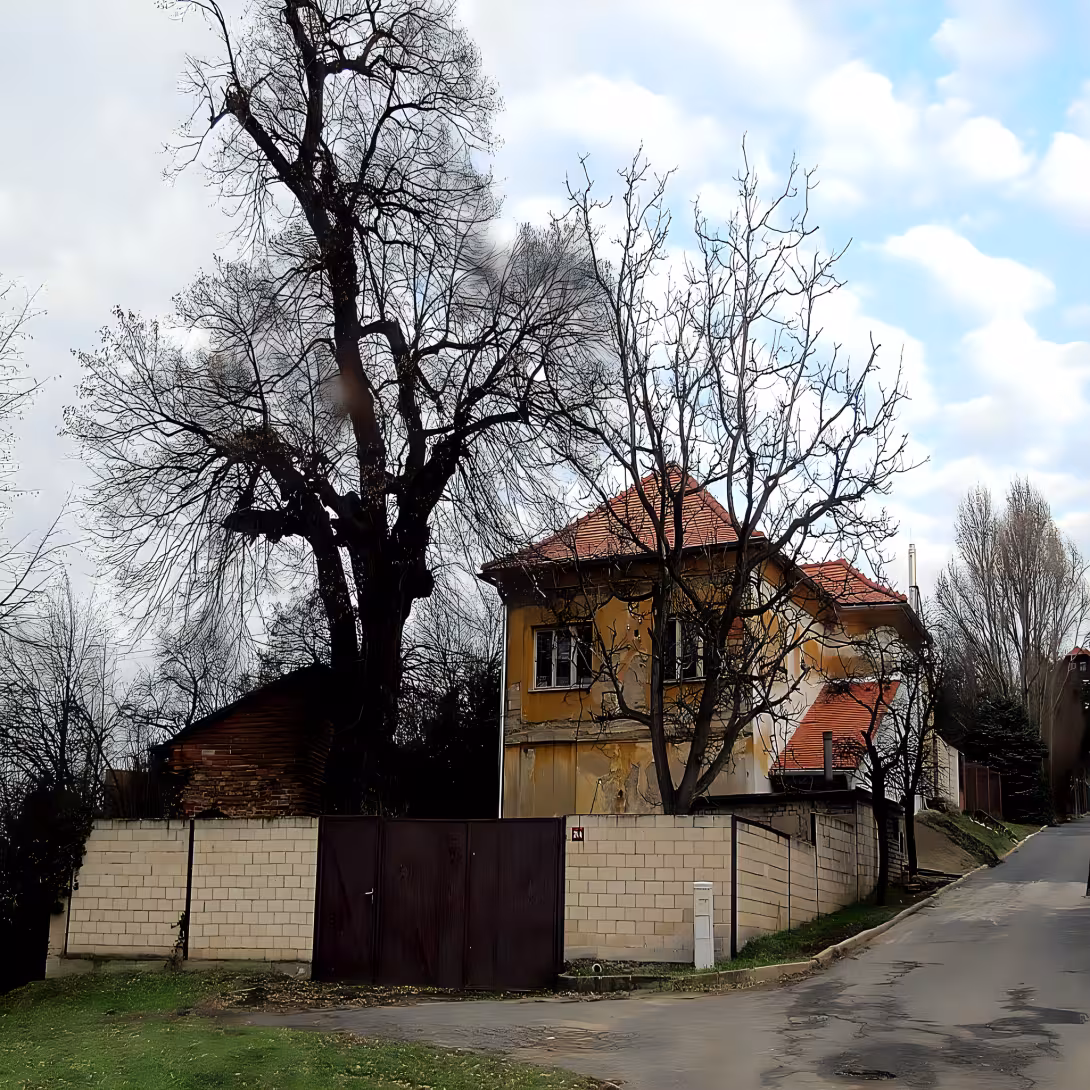 Braunův sklep